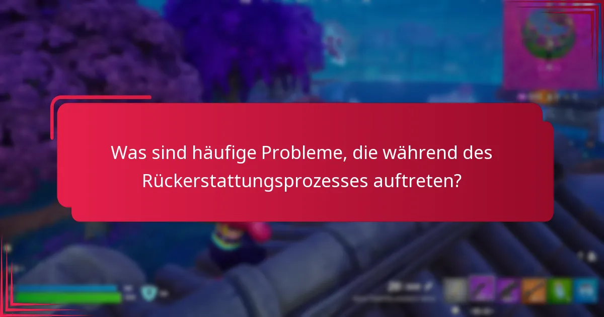 Was sind häufige Probleme, die während des Rückerstattungsprozesses auftreten?