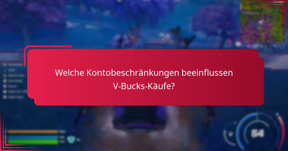 Was sind häufige Probleme bei V-Bucks-Käufen?